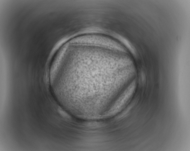 X0000113541366200910021341