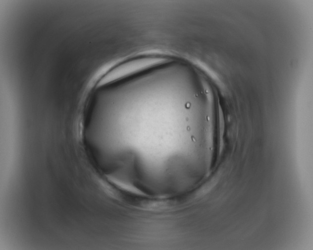 X0000113541367200910021341