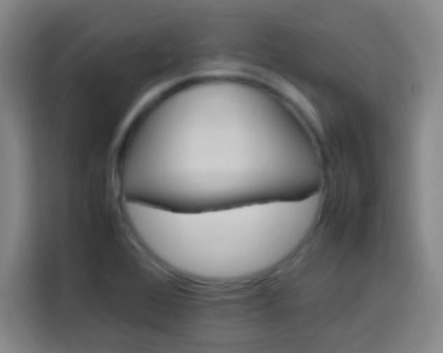 X0000113541368200910021341