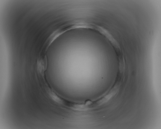 X0000113541369200910021341