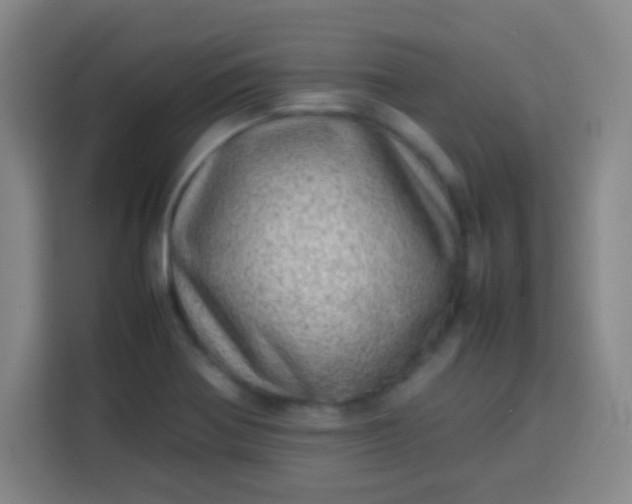 X0000113541370200910021341