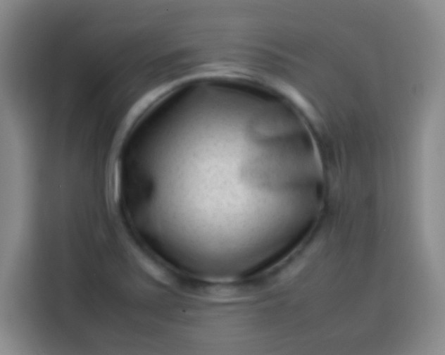 X0000113541371200910021341