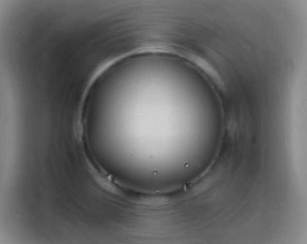 X0000113541372200910021341