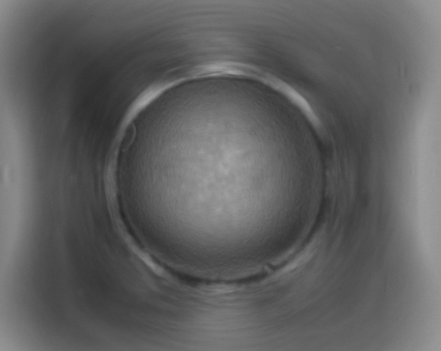 X0000113541373200910021341