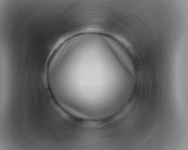 X0000113541374200910021341