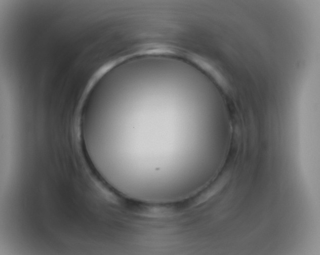 X0000113541375200910021341