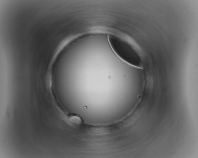 X0000113541376200910021341