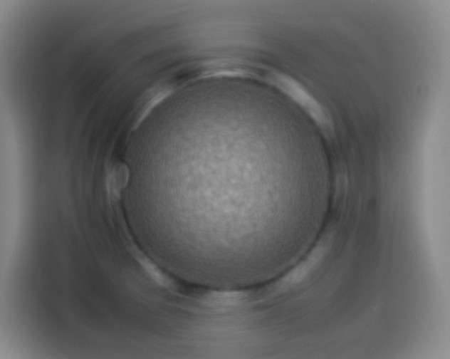 X0000113541377200910021341