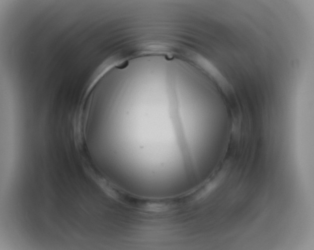 X0000113541378200910021341