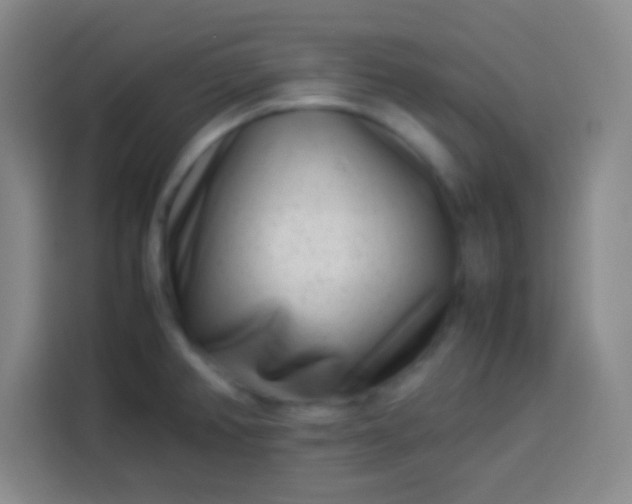 X0000113541382200910021341