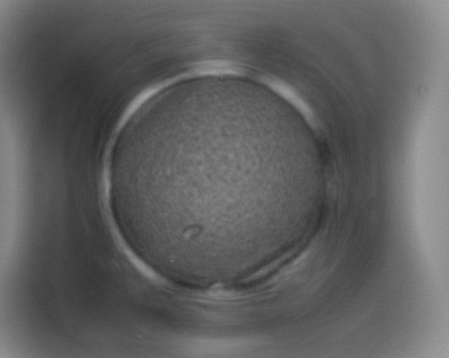 X0000113541383200910021341