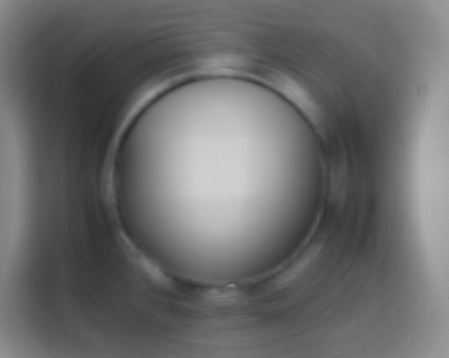 X0000113541384200910021341