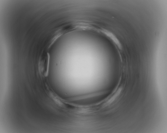 X0000113541385200910021341