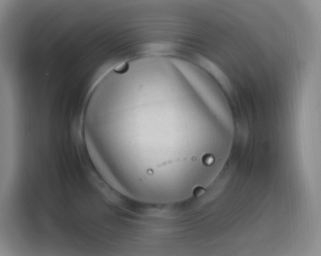 X0000113541386200910021341