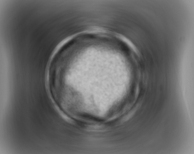 X0000113541387200910021341