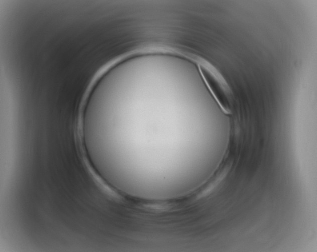 X0000113541388200910021341