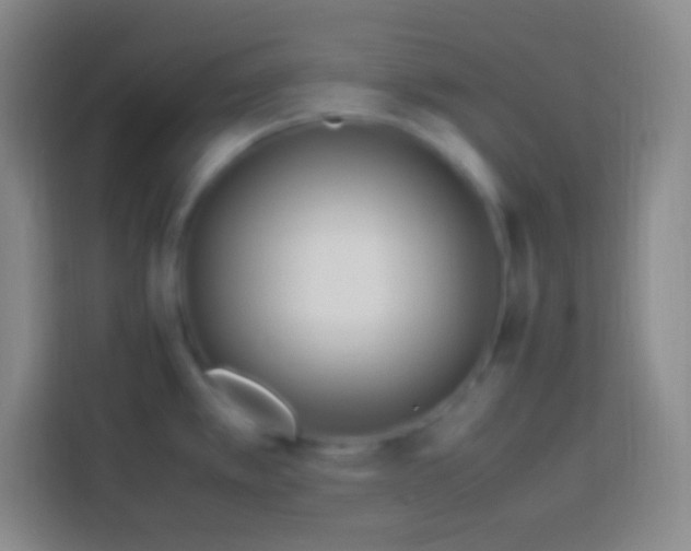 X0000113541389200910021341