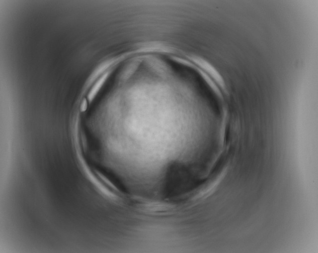 X0000113541391200910021341