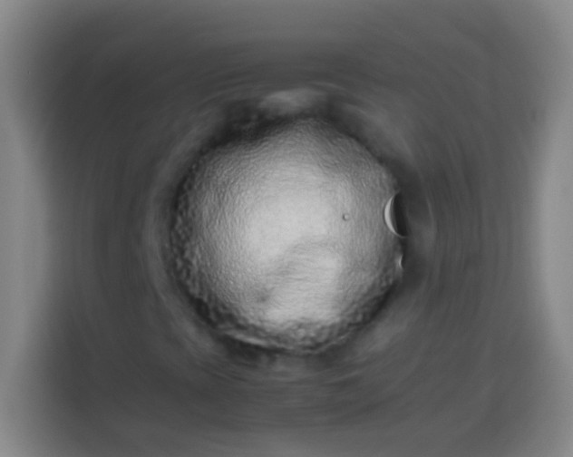 X0000113541393200910021340