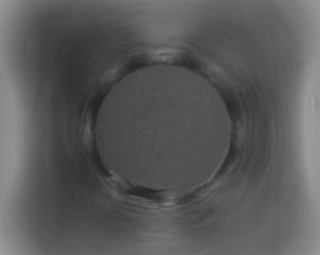 X0000113541394200910021340