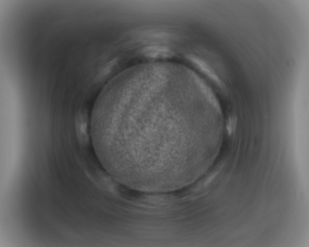 X0000113541396200910021340