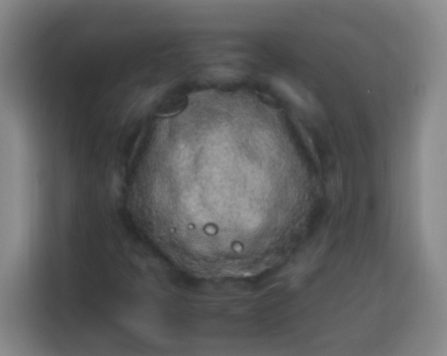 X0000113541397200910021340