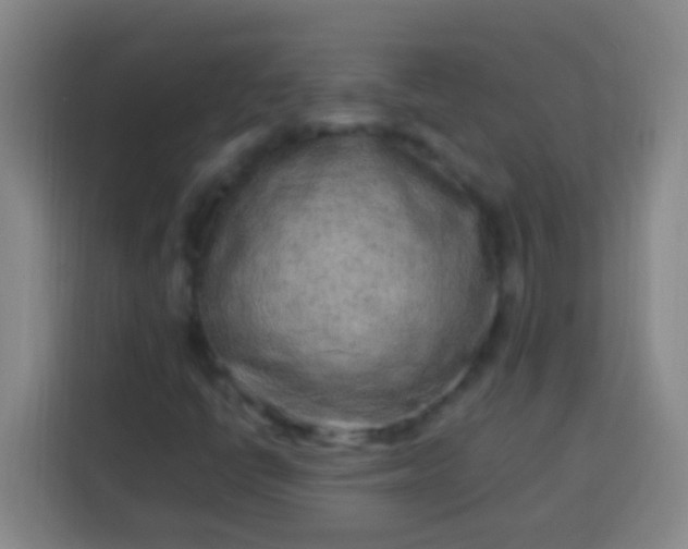 X0000113541398200910021340