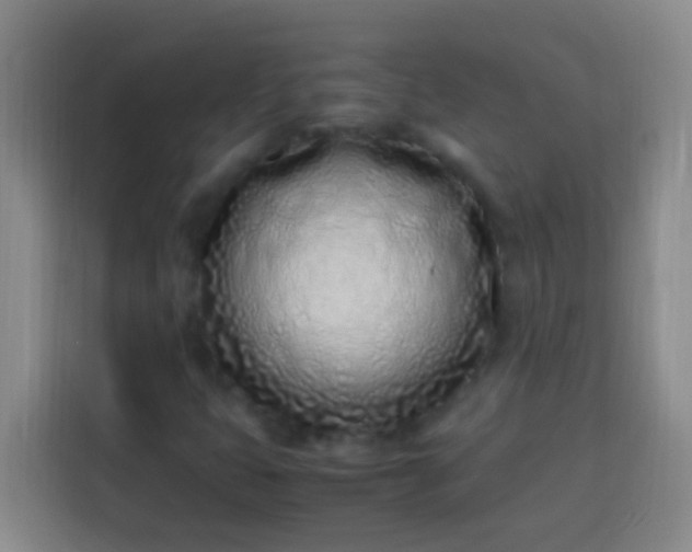 X0000113541399200910021340