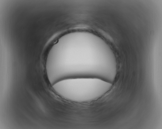 X0000113541400200910021340