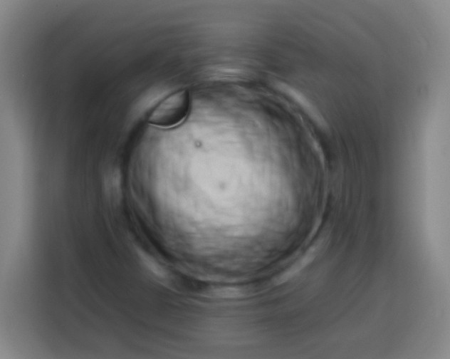 X0000113541402200910021340