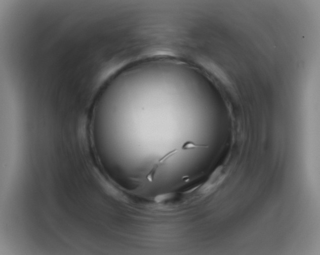 X0000113541404200910021340