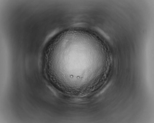 X0000113541405200910021340