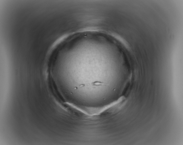 X0000113541406200910021340