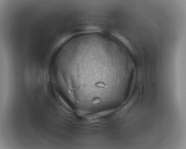 X0000113541407200910021340