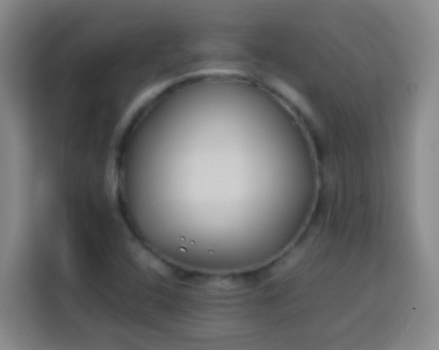 X0000113541408200910021340