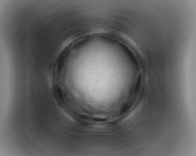 X0000113541409200910021340