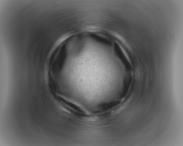 X0000113541410200910021340