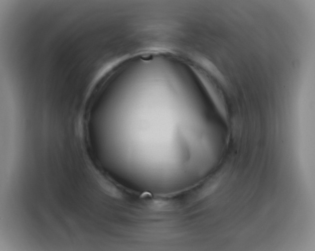 X0000113541412200910021340