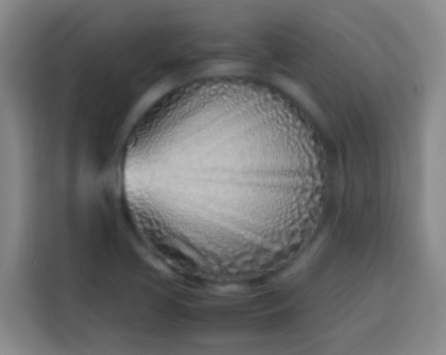 X0000113541413200910021340