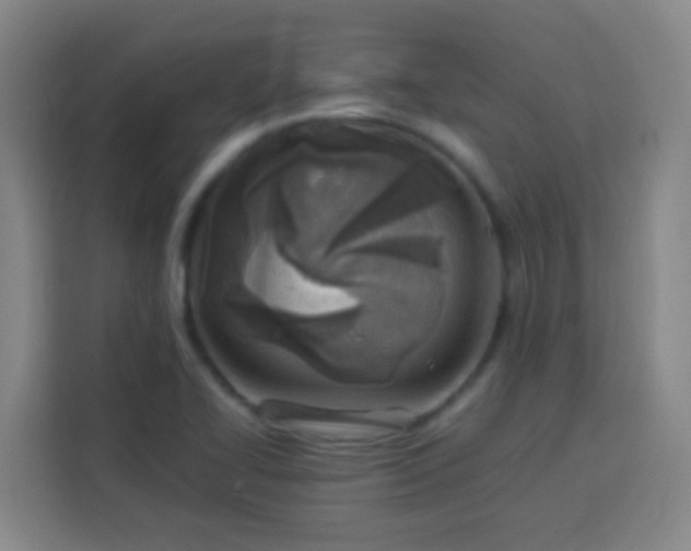 X0000113541414200910021340