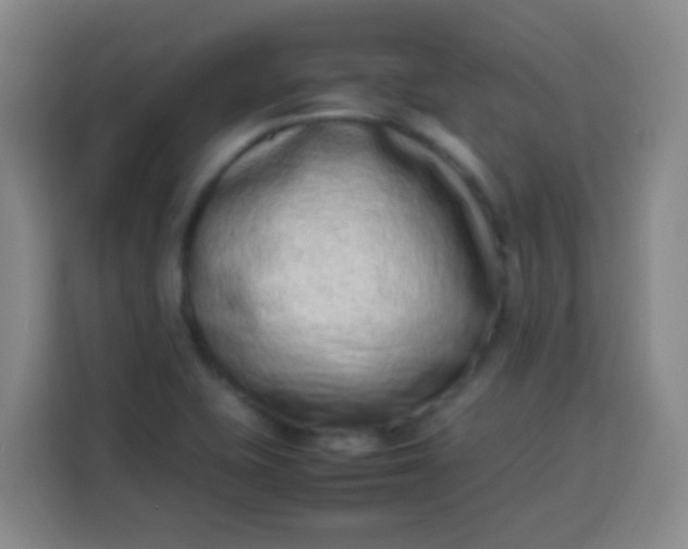 X0000113541415200910021340