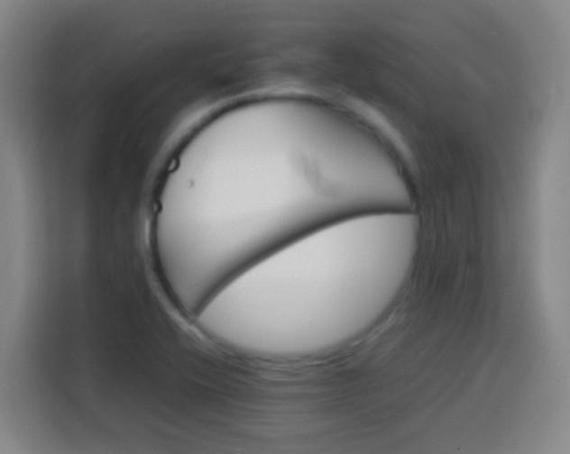 X0000113541416200910021340