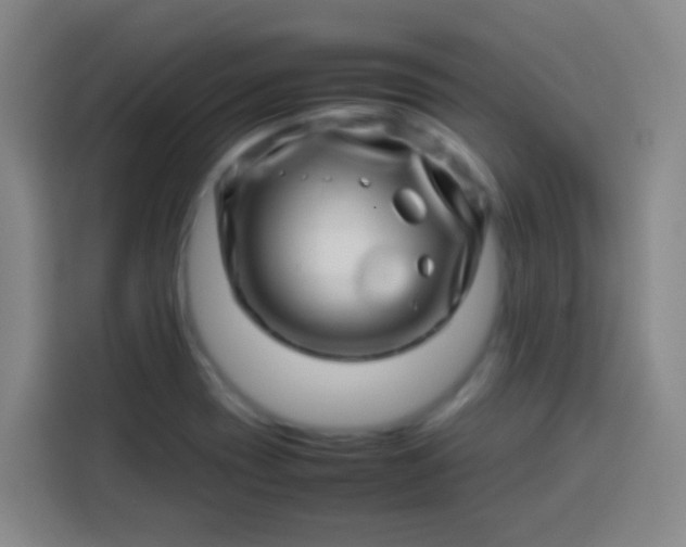 X0000113541417200910021340