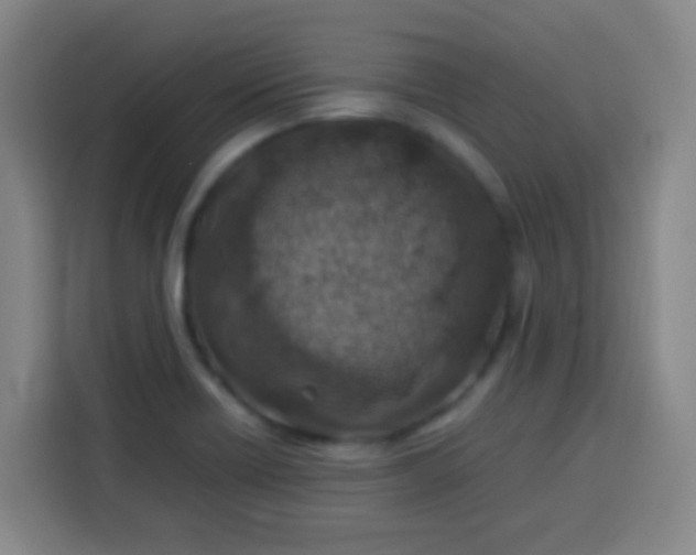 X0000113541418200910021340