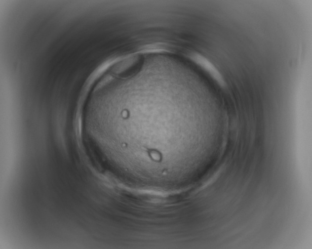 X0000113541419200910021340