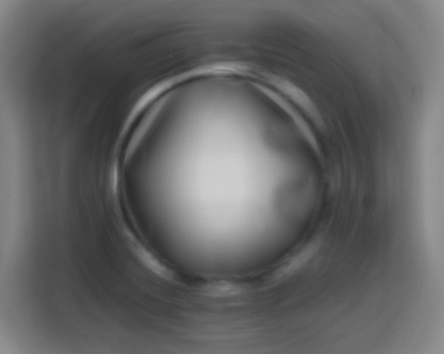 X0000113541420200910021340