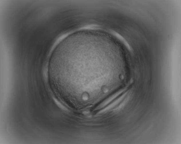 X0000113541421200910021340