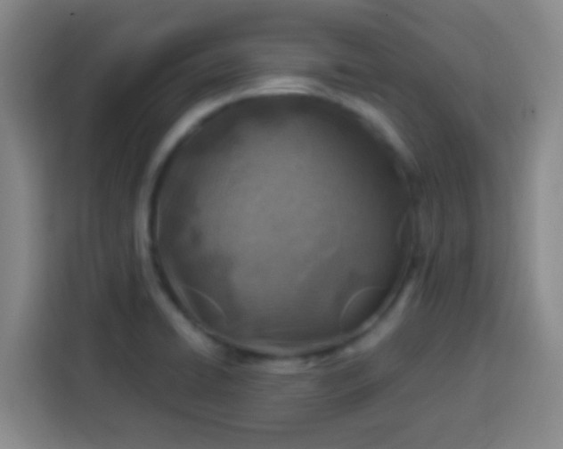 X0000113541422200910021340