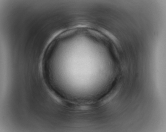 X0000113541423200910021340