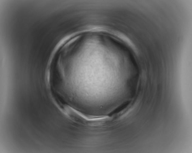 X0000113541424200910021340